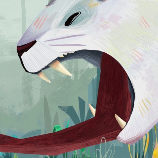 La légende des Pandas livre jeunesse